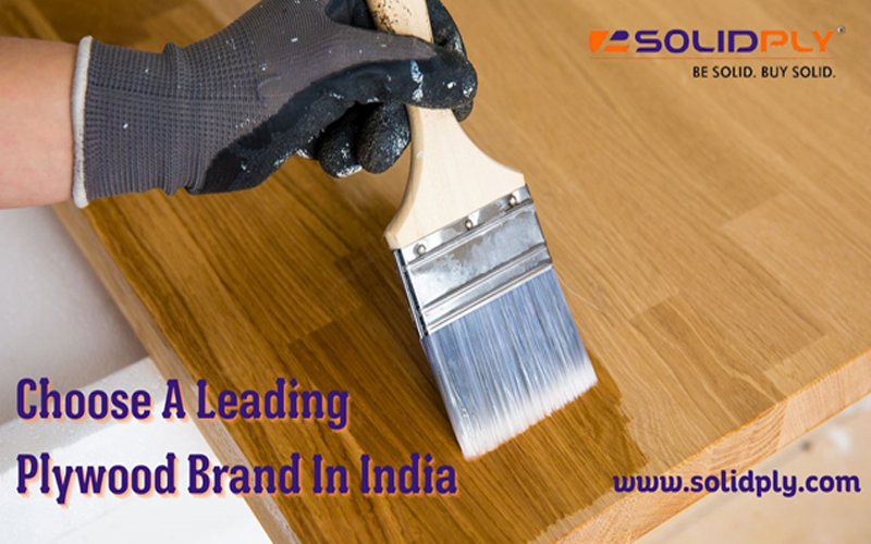 5 Compelling Reasons To Choose A Leading Plywood Brand In India