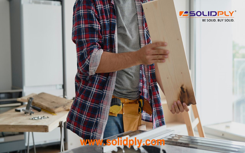 Choosing The Right Plywood In India For Your Office Decoration: A Key To A More Attractive Workplace